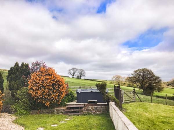 Ffynnonlwyd Cottage Llangynin Exterior foto