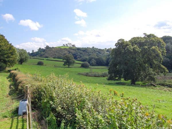 Ffynnonlwyd Cottage Llangynin Exterior foto